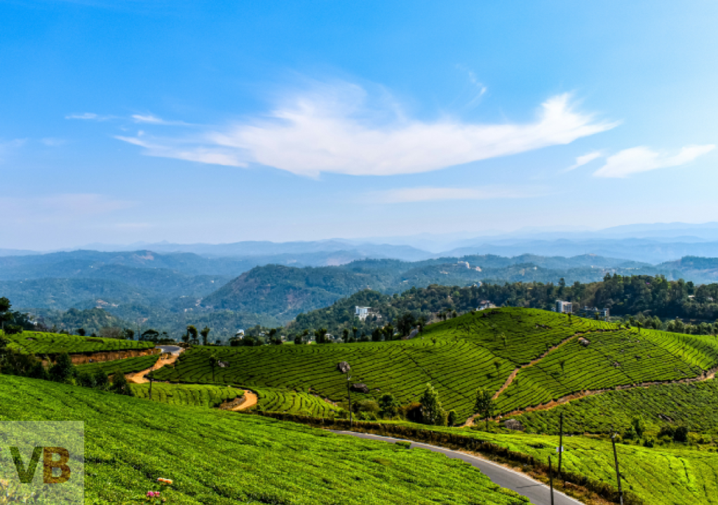 Munnar Kerala