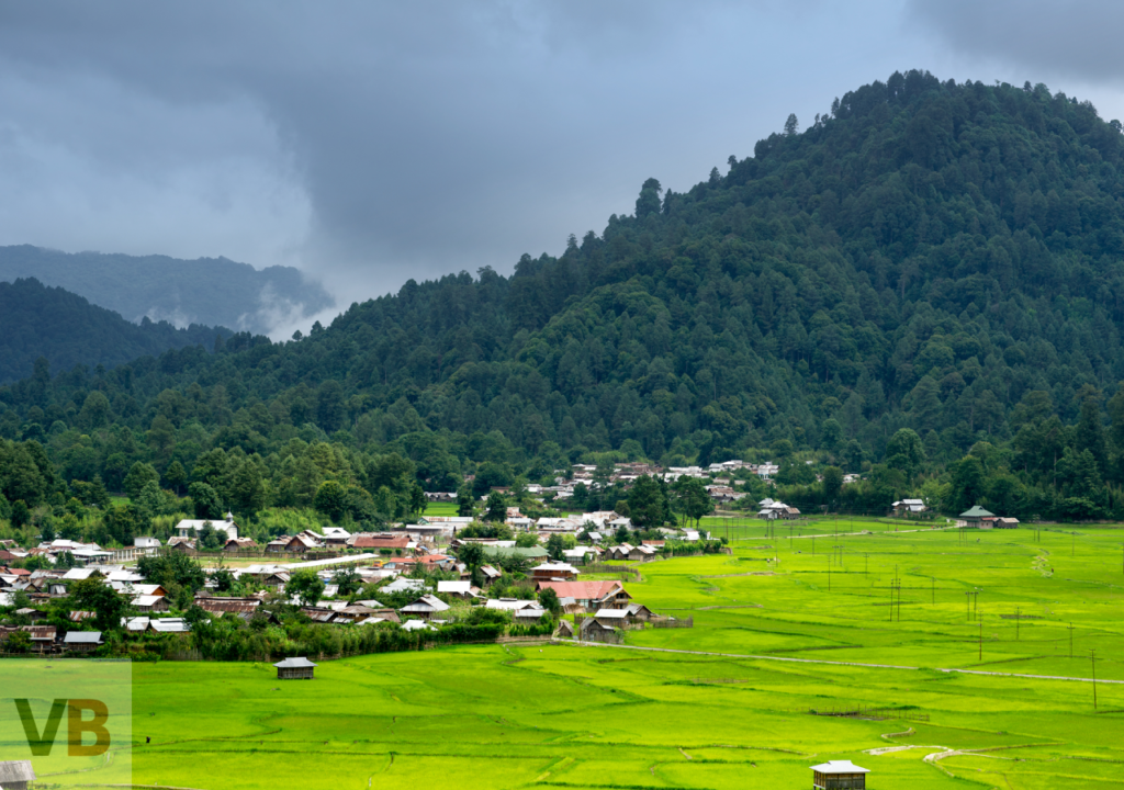 Ziro Valley